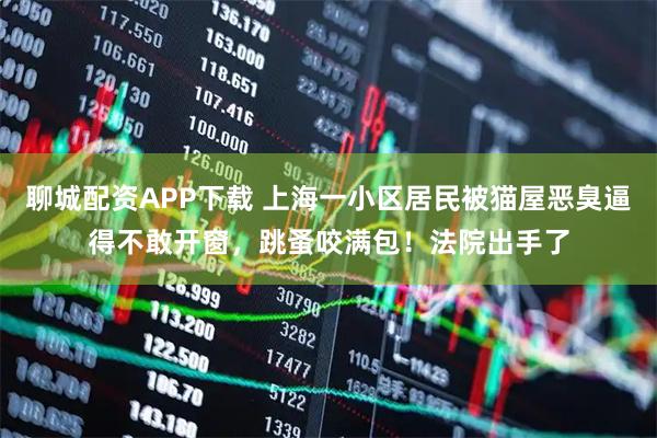聊城配资APP下载 上海一小区居民被猫屋恶臭逼得不敢开窗,跳蚤咬满包!法院出手了