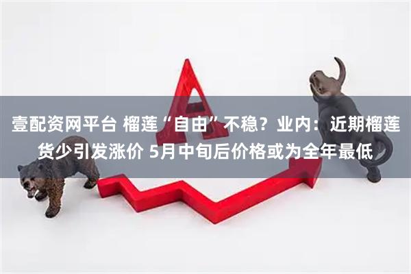 壹配资网平台 榴莲“自由”不稳？业内：近期榴莲货少引发涨价 5月中旬后价格或为全年最低